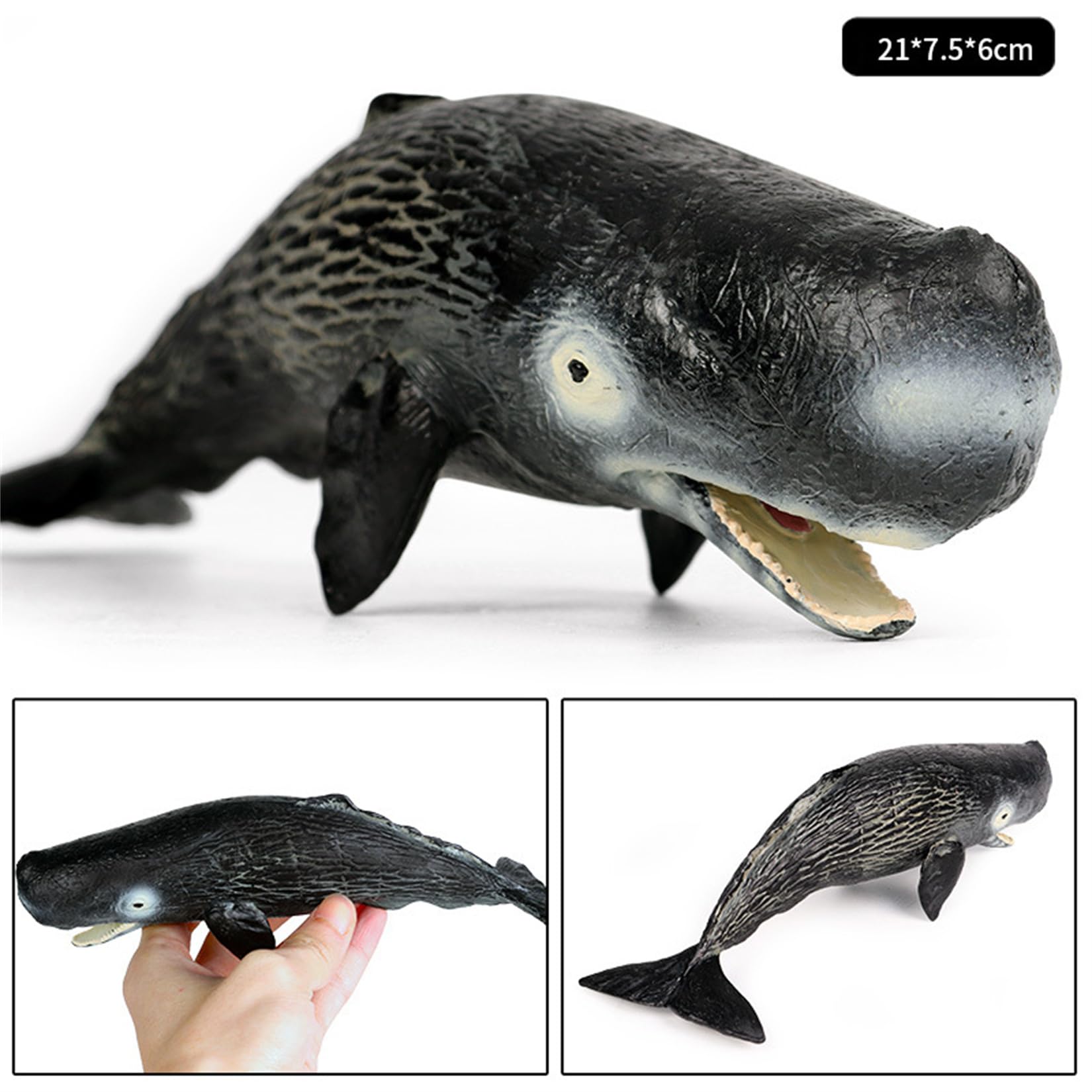 Amazon | EUHELOPA 抹香鯨 マッコウクジラ フィギュア ハクジラ 鯨